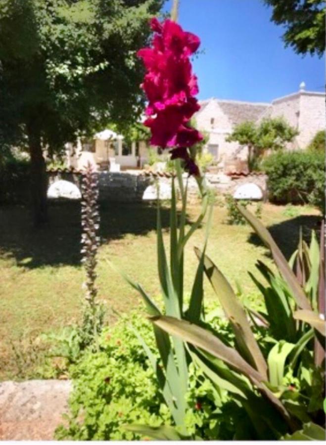 Maison Santarosa Apartman Castellana Grotte Kültér fotó