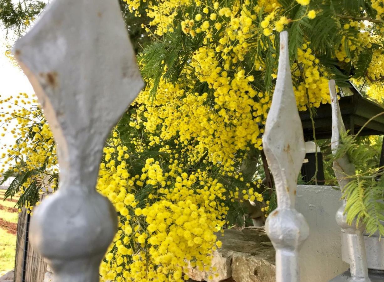Maison Santarosa Apartman Castellana Grotte Kültér fotó