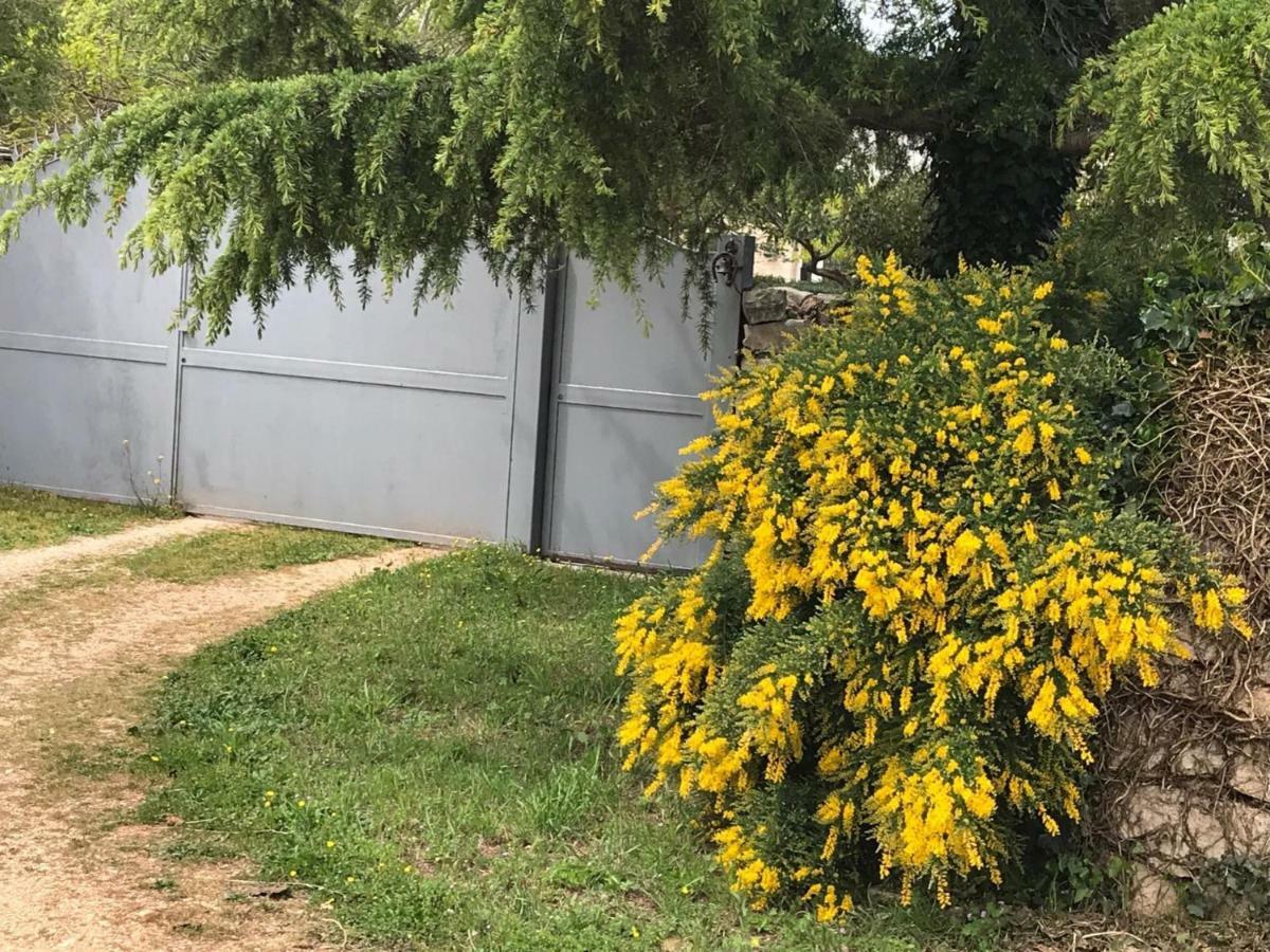 Maison Santarosa Apartman Castellana Grotte Kültér fotó
